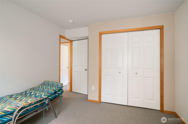 living area with carpet floors and baseboards