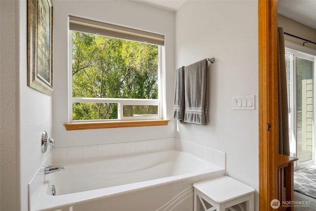 bathroom featuring a bath and a healthy amount of sunlight