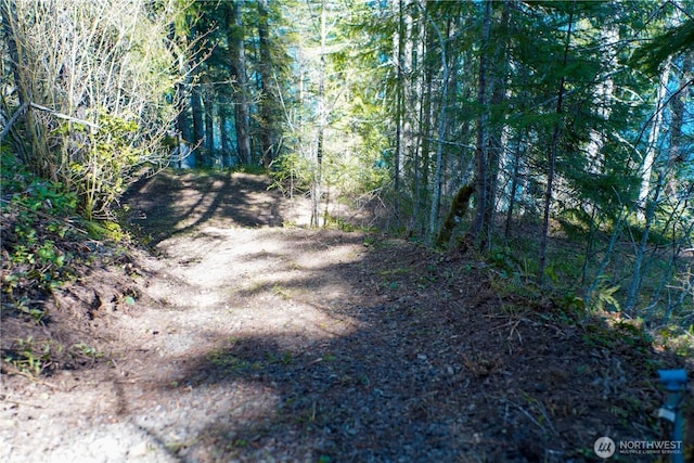 300 N Cushman Ridge Rd, Hoodsport, WA 98548 - photo 13