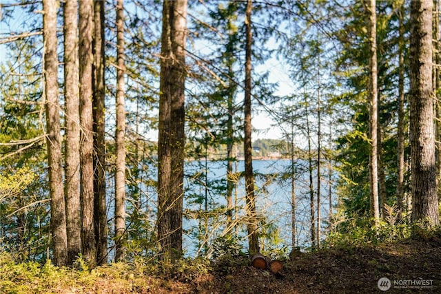 300 N Cushman Ridge Rd, Hoodsport, WA 98548 - photo 10
