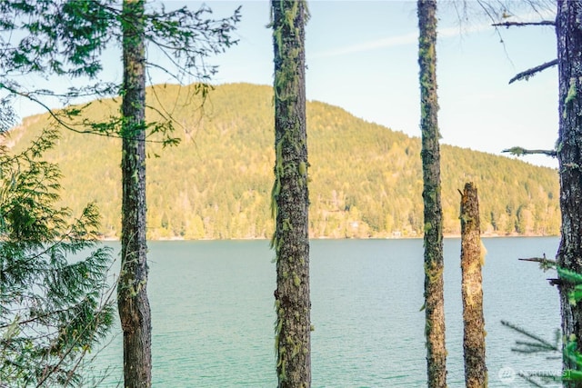 300 N Cushman Ridge Rd, Hoodsport, WA 98548 - photo 21