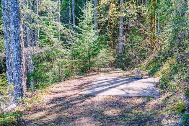 300 N Cushman Ridge Rd, Hoodsport, WA 98548 - photo 14