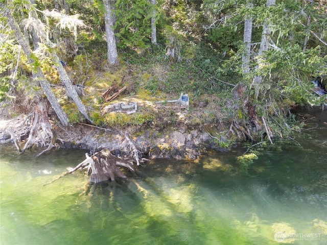300 N Cushman Ridge Rd, Hoodsport, WA 98548 - photo 2
