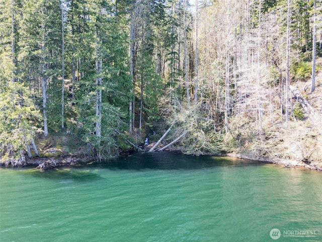 300 N Cushman Ridge Rd, Hoodsport, WA 98548 - photo 24