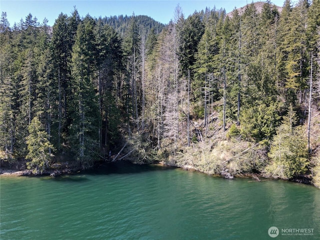 300 N Cushman Ridge Rd, Hoodsport, WA 98548 - photo 25