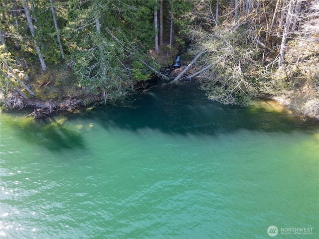 300 N Cushman Ridge Rd, Hoodsport, WA 98548 - photo 26