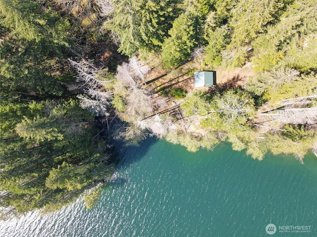 300 N Cushman Ridge Rd, Hoodsport, WA 98548 - photo 1