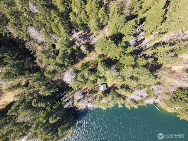 300 N Cushman Ridge Rd, Hoodsport, WA 98548 - photo 28