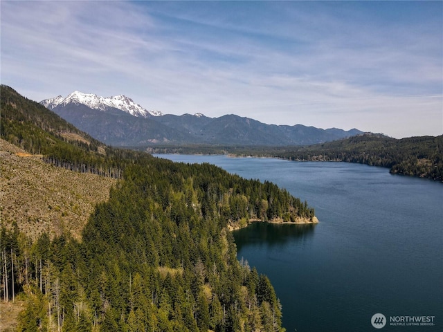 300 N Cushman Ridge Rd, Hoodsport, WA 98548 - photo 29