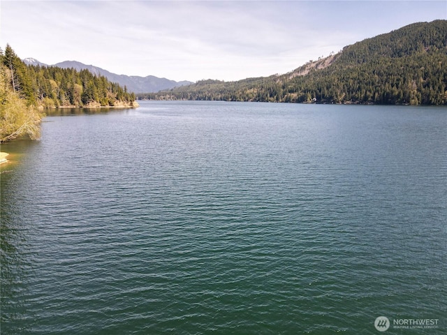 300 N Cushman Ridge Rd, Hoodsport, WA 98548 - photo 30