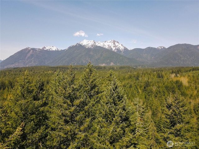 300 N Cushman Ridge Rd, Hoodsport, WA 98548 - photo 31