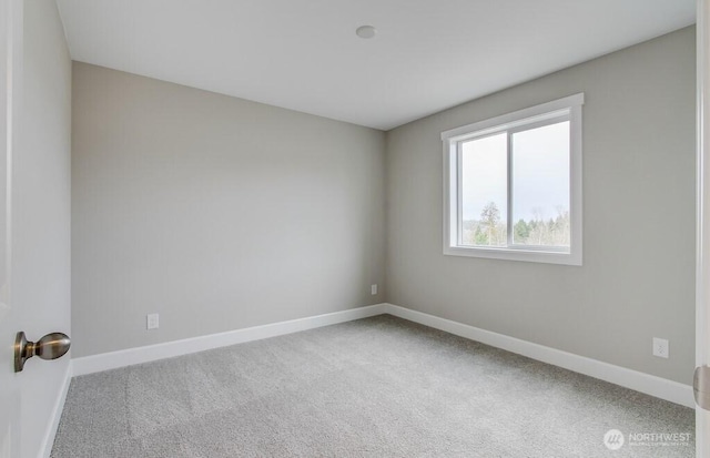 spare room with baseboards and carpet floors