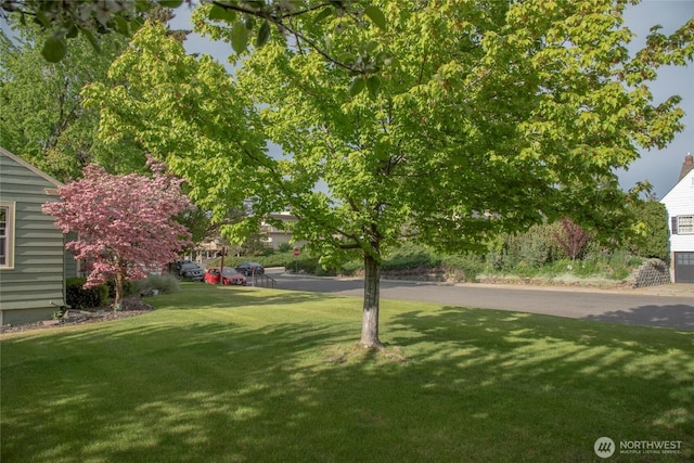1007 N B St, Ellensburg, WA 98926 - photo 37