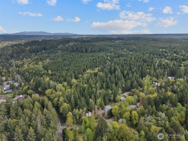 3151 E State Route 302, Belfair, WA 98528 - photo 1