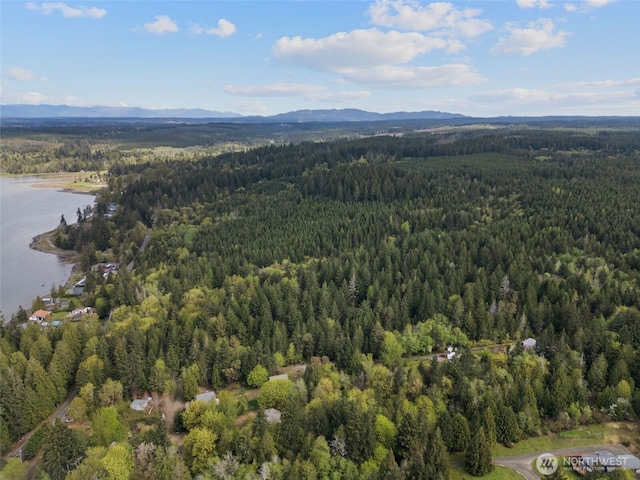 3151 E State Route 302, Belfair, WA 98528 - photo 2