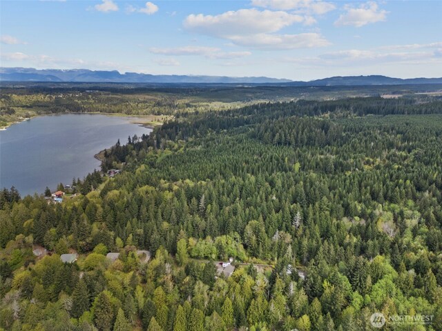 3151 E State Route 302, Belfair, WA 98528 - photo 3