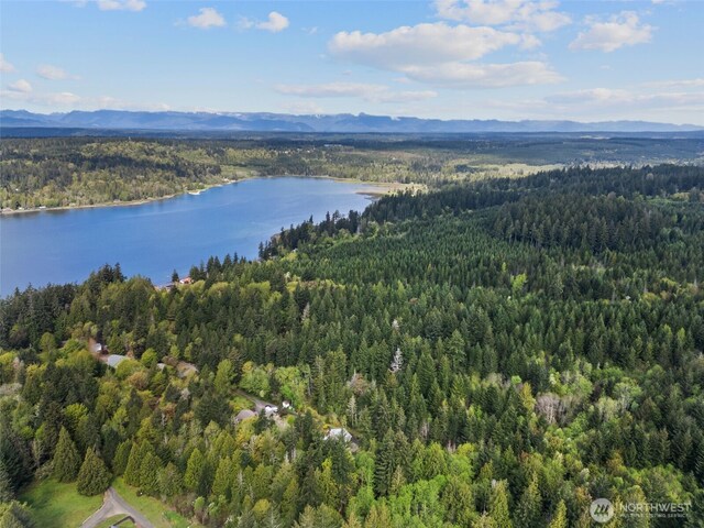 3151 E State Route 302, Belfair, WA 98528 - photo 4