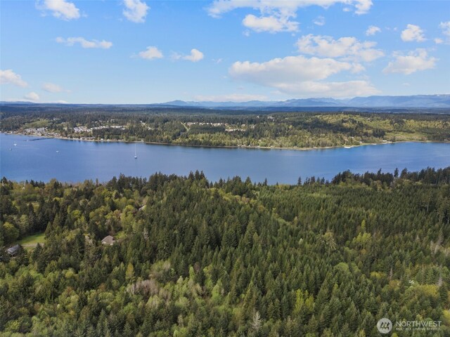 3151 E State Route 302, Belfair, WA 98528 - photo 5