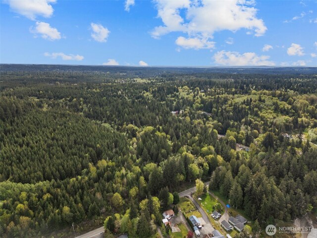 3151 E State Route 302, Belfair, WA 98528 - photo 6