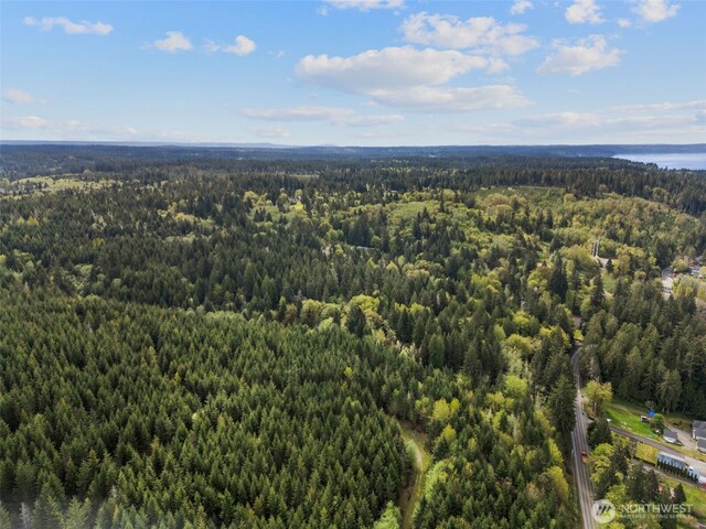 3151 E State Route 302, Belfair, WA 98528 - photo 7