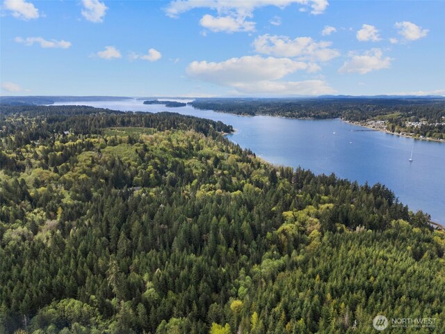 3151 E State Route 302, Belfair, WA 98528 - photo 8