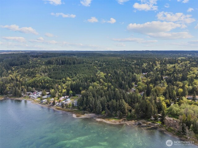 3151 E State Route 302, Belfair, WA 98528 - photo 9