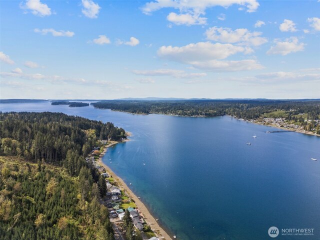 3151 E State Route 302, Belfair, WA 98528 - photo 10
