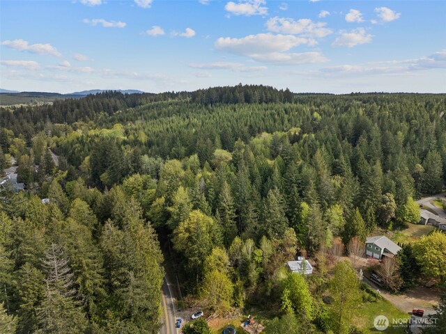3151 E State Route 302, Belfair, WA 98528 - photo 11
