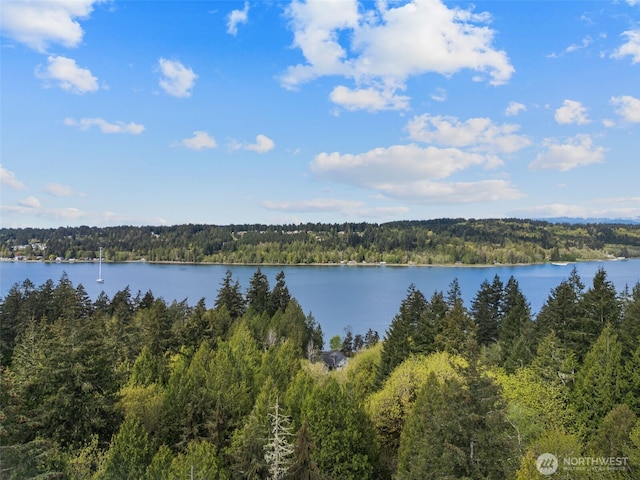 3151 E State Route 302, Belfair, WA 98528 - photo 12