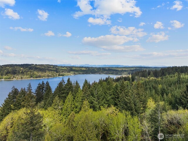 3151 E State Route 302, Belfair, WA 98528 - photo 13