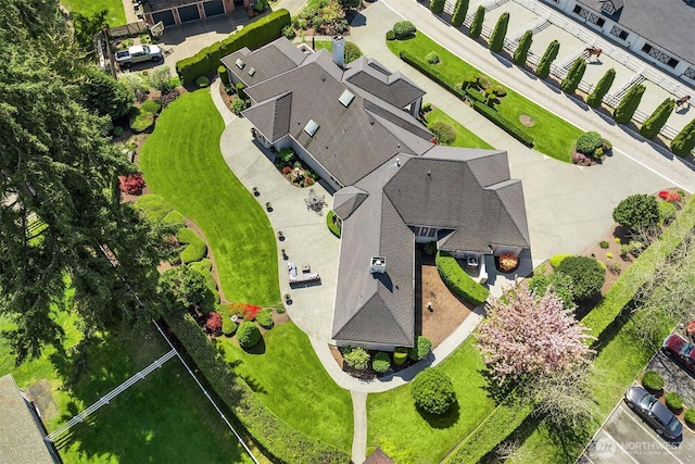 aerial view