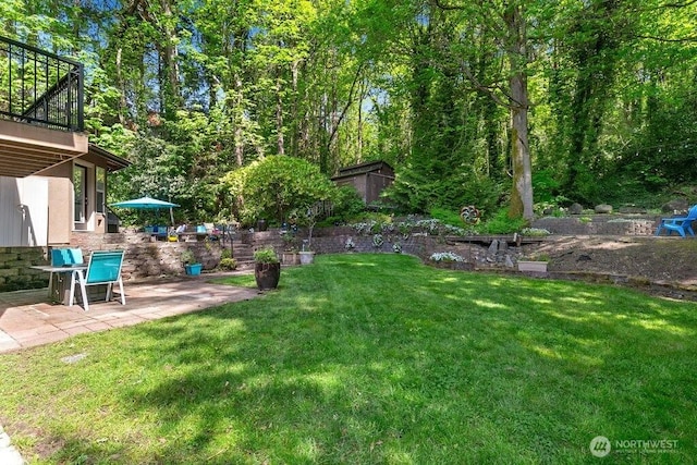 view of yard with a patio area