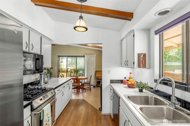 131 E Vine Maple Ln, Union, WA 98592 - kitchen featuring a sink, stainless steel appliances, dark wood-style floors, and healthy amount of natural light