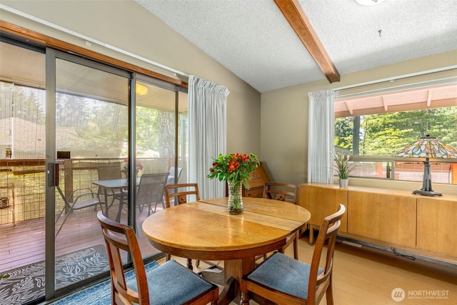 131 E Vine Maple Ln, Union, WA 98592 - dining area featuring a textured ceiling and light wood finished floors