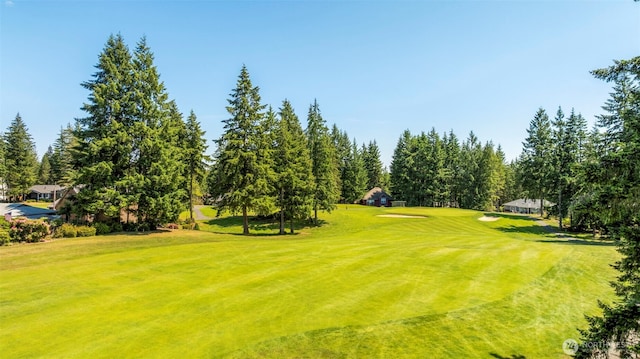 131 E Vine Maple Ln, Union, WA 98592 - surrounding community with golf course view, a yard, and view of scattered trees
