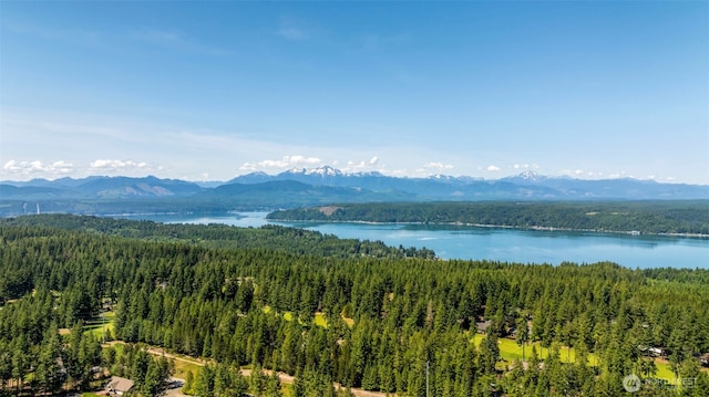 131 E Vine Maple Ln, Union, WA 98592 - mountain view featuring a forest and a nearby body of water