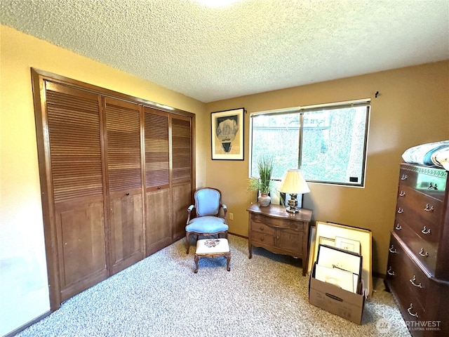 131 E Vine Maple Ln, Union, WA 98592 - living area with a textured ceiling and carpet floors