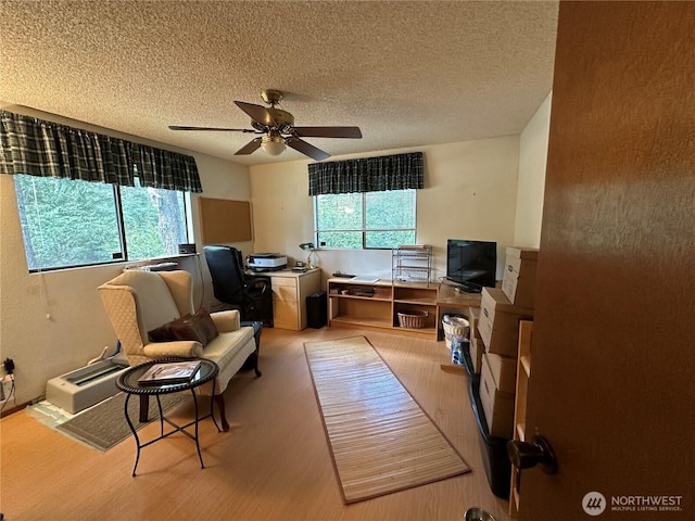 131 E Vine Maple Ln, Union, WA 98592 - office area featuring healthy amount of natural light, a ceiling fan, and a textured ceiling