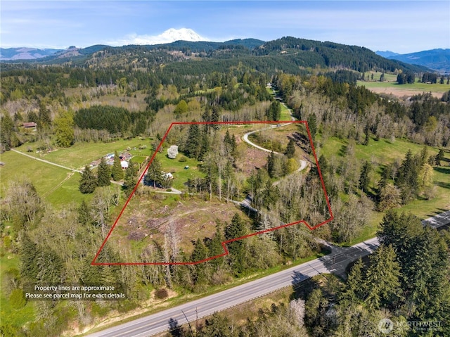 aerial view with a mountain view and a view of trees