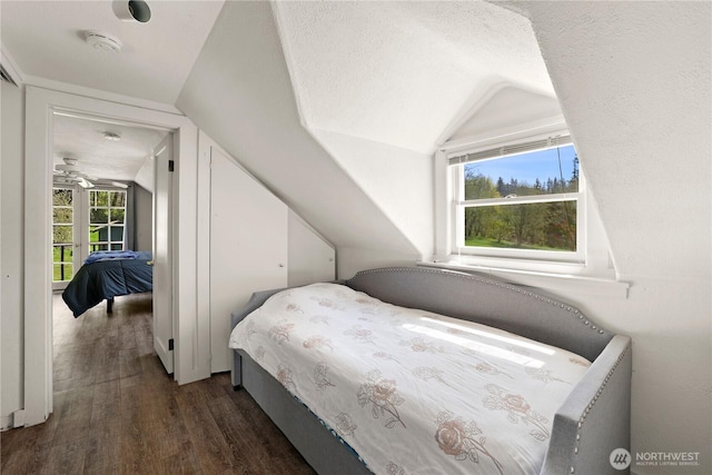 bedroom with lofted ceiling and dark wood-style flooring
