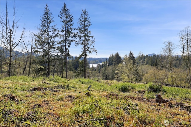 view of landscape featuring a forest view