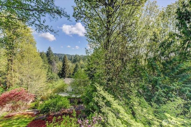 view of nature with a forest view