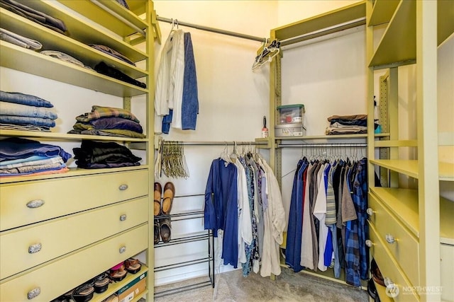 view of walk in closet