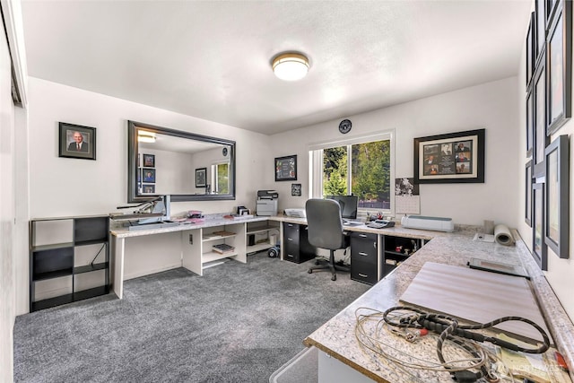 4353 Gooding Ave, Bellingham, WA 98226 - office featuring carpet flooring