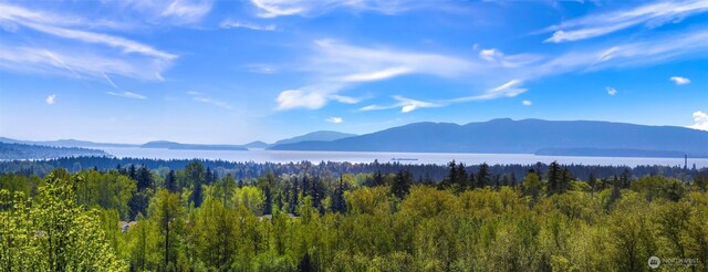 4353 Gooding Ave, Bellingham, WA 98226 - property view of mountains featuring a view of trees