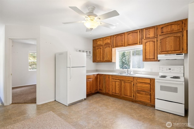 212 Deer Park Ln, Port Angeles, WA 98362 - kitchen with a sink, white appliances, brown cabinetry, a wealth of natural light, and under cabinet range hood