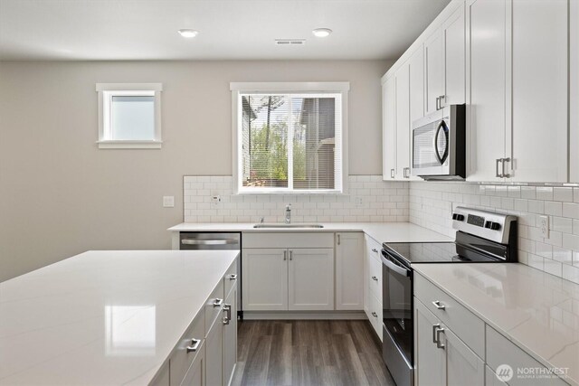 30341 117th Ct SE, Auburn, WA 98092 - kitchen with a sink, dark wood finished floors, a wealth of natural light, and stainless steel appliances