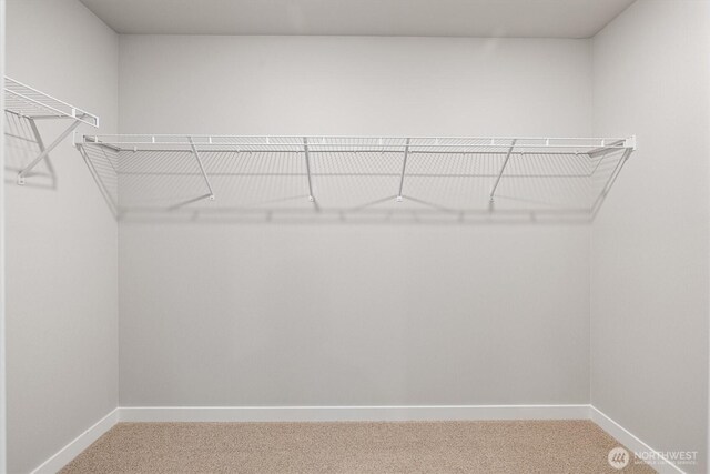 30341 117th Ct SE, Auburn, WA 98092 - spacious closet featuring carpet floors