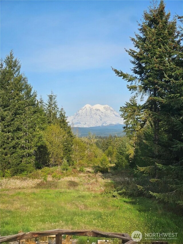 35315 78th Ave E, Eatonville, WA 98328 - photo 26
