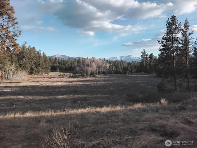 193 Blue Meadows Rd, Tonasket, WA 98855 - view of local wilderness featuring a wooded view, a mountain view, and a rural view